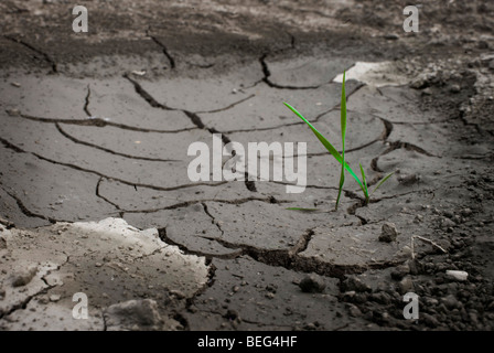 Dry loamy ground. Stock Photo