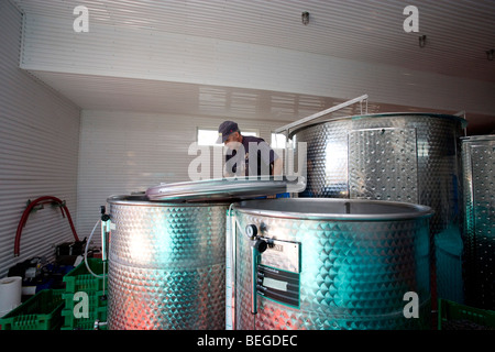 North America, Canada, Ontario, Annan, Georgian Bay, winery Stock Photo