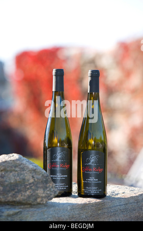 North America, Canada, Ontario, Annan, Georgian Bay, wine Stock Photo