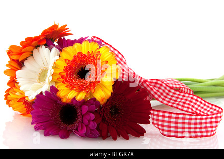 beautiful bouquet colorful Gerber with checkered ribbon isolated over white Stock Photo