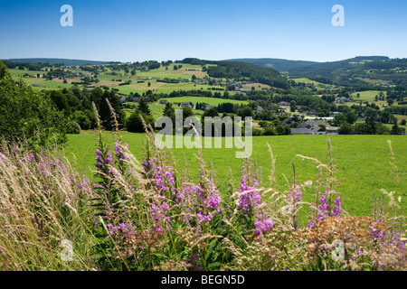 Rolling hills in the Ardennes forest near Malmedy. Stock Photo
