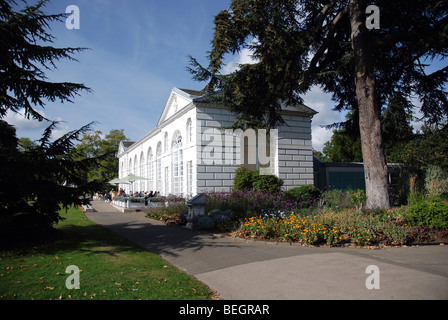 The Orangery Restaurant at Kew Gardens, London, England, UK Stock Photo