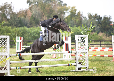 horse and jockey jumping Stock Photo