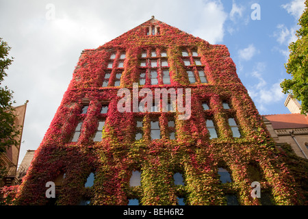 Vines in autumn on Beyer Building in Old Quadrangle, The University of Manchester, UK Stock Photo