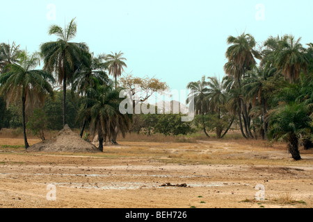 Bintang Bolon area,The Gambia Stock Photo