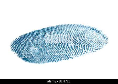 Blue fingerprint isolated on a white background Stock Photo
