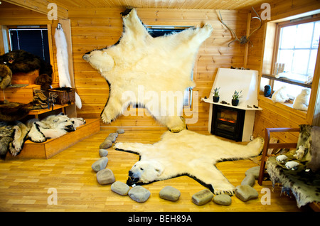 Spitsbergen, Svalbard, Longyearbyen, bear skins sold as souvenir Stock Photo