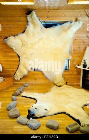 Spitsbergen, Svalbard, Longyearbyen, bear skins sold as souvenir Stock Photo