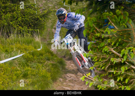 Rider at NPS (National Points Series) Downhill MTB (mountain bike) race in Ae forest Scotland Stock Photo