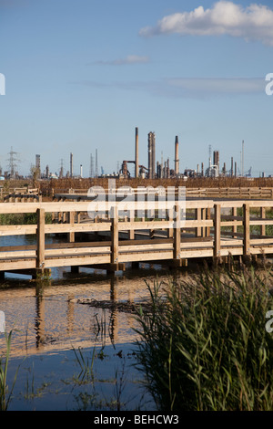 Bird watchers wooden hide on Seal Sands an extensive area of intertidal mudflats, Huntsman Tioxide Greatham works on Teeside,  East coast of England. Stock Photo