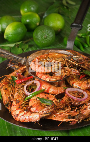 Shrimp or prawns fry South India Food Stock Photo