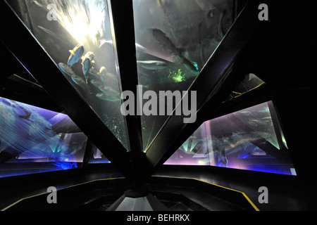 Interior of the The National Sea Centre Nausicaä, Boulogne-sur-Mer, Pas-de-Calais, France Stock Photo