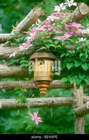Handmade lathe-turned birdbox on garden arbor among blooming pink Clematis vine in summer, Midwest USA Stock Photo