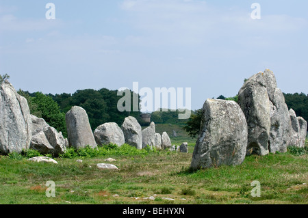 Standing stones in the Kermario alignment at Carnac, Brittany, France Stock Photo