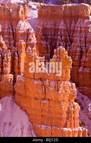 Fresh powder on hoodoos in the Silent City, Bryce Canyon National Park, Utah Stock Photo