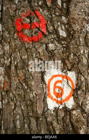 Italy Ligury Sign Stock Photo - Alamy