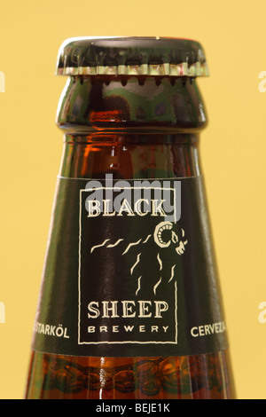 Black Sheep beer bottle brewed at Masham in North Yorkshire England Stock Photo