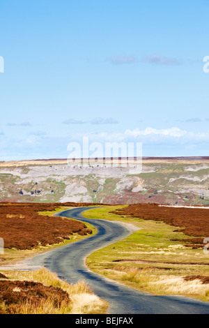 Winding road on Redmire Moor, Yorkshire Dales, England, UK in autumn Stock Photo