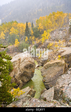 Morning Snow Storm above river with large rocks on each sides and golden aspen and silver birch in the background Stock Photo