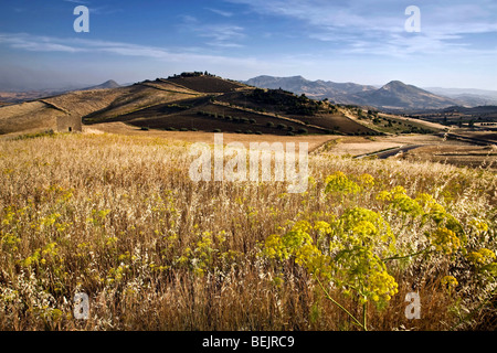 Typical sicilian countryside, Leonforte, Sicily, Italy Stock Photo