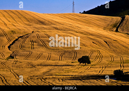 Typical sicilian countryside, Leonforte, Sicily, Italy Stock Photo