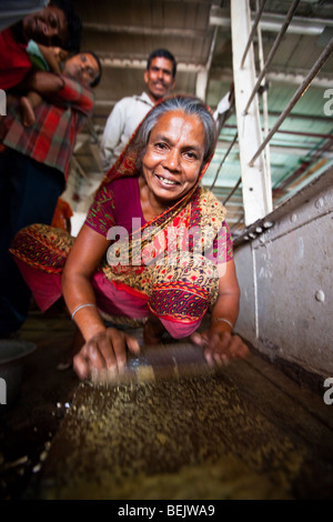 Woman cooking on the Rocket Paddle Boat in Bangladesh Stock Photo