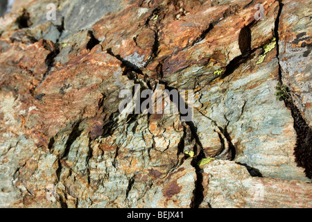 patterns and textures in alpine rock Stock Photo