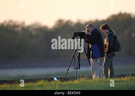 Birdwatchers with telescope watching birds in nature reserve, Belgium Stock Photo