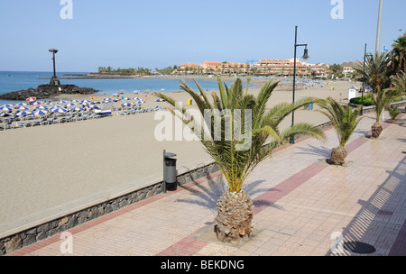 Promenade in Los Cristianos, Canary Islands, Spain Stock Photo