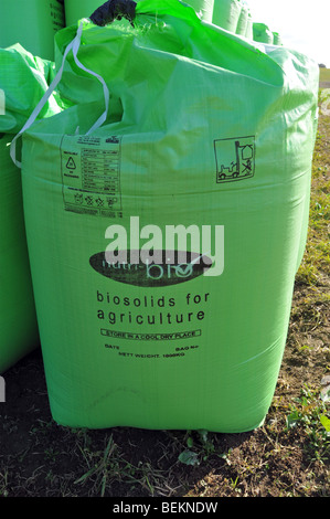 Bags of Biosolid fertiliser made from sewerage by Nutri Bio part of Anglian Water in farm field delivered in green FIBC jumbo bulk bag super sack UK Stock Photo