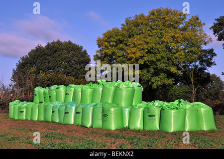 Bags of Biosolids fertiliser made from sewerage by Nutri Bio part of Anglian Water in farm field delivered in green FIBC jumbo bulk bag super sack UK Stock Photo