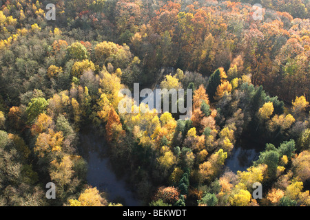 Mixed forest with Oak (Quercus robur), Birches (Betula sp.) and pool in autumn from the air, Belgium Stock Photo