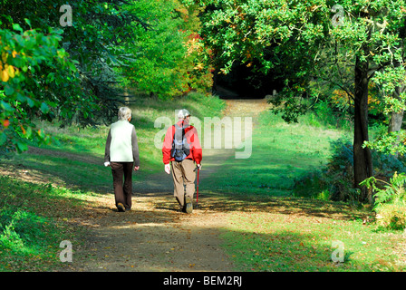 Elderly walking through woods Stock Photo