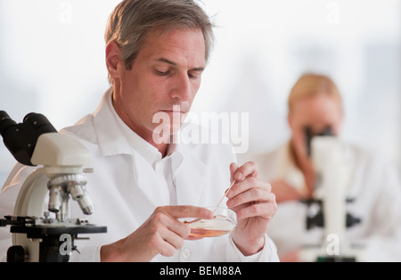 Researchers working in lab Stock Photo