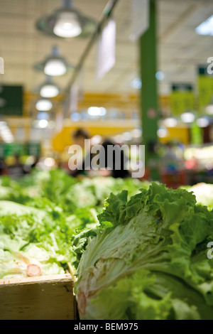Head of romaine lettuce, produce department of supermarket Stock Photo