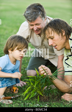 Little boy gardening with father and grandfather Stock Photo