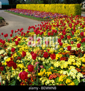 Cheshire, Chester Zoo, springtime, Butterfly Garden Stock Photo