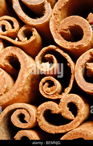 Cinnamon quills. Cinnamomum zeylanicum. Stock Photo