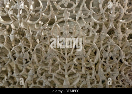 Jali  screen surrounding the cenotaphs, Taj Mahal, Agra, India, Stock Photo