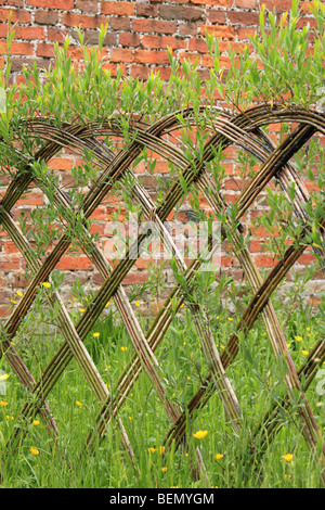 Woven willow screen fence, England UK Stock Photo