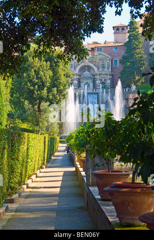 Villa D'Este, Tivoli, Italy. Fountain of Neptune and the Water Organ Fountain glimpsed along an avenue in the Gardens Stock Photo