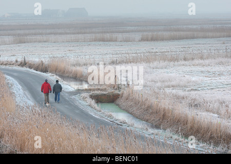 Strollers along reed fringes in meadowlands in winter, Uitkerkse polder, Belgium Stock Photo