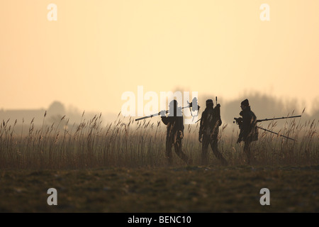 Birdwatchers walking along reed fringe at sunset, Belgium Stock Photo
