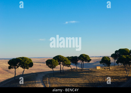 Landscape near Belmonte. Cuenca province, Castilla- La Mancha. Spain Stock Photo