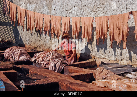 Tanner at work in outdoor tannery, treating animal skins to produce leather, Marrakesh / Marrakech, Morocco, North Africa Stock Photo
