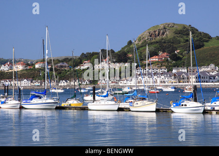 Deganwy Quays Marina on the Conwy Estuary on North Wales West Coast Stock Photo