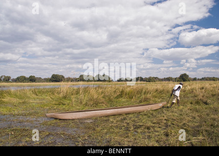 Mokoro poler carrying his boat on a cloudy day. Okavango delta, Botswana, Africa. Stock Photo