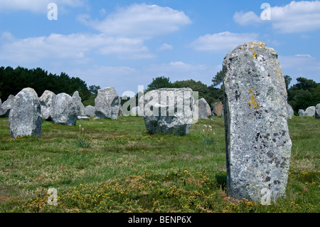 Standing stones in the Kermario alignment at Carnac, Morbihan, Brittany, France Stock Photo