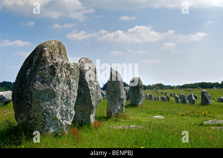 Standing stones in the Ménec alignment at Carnac, Morbihan, Brittany, France Stock Photo