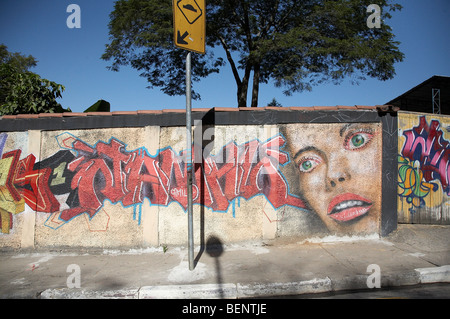 BRAZIL Wall with murals and graffiti. PHOTO by SEAN SPRAGUE Stock Photo